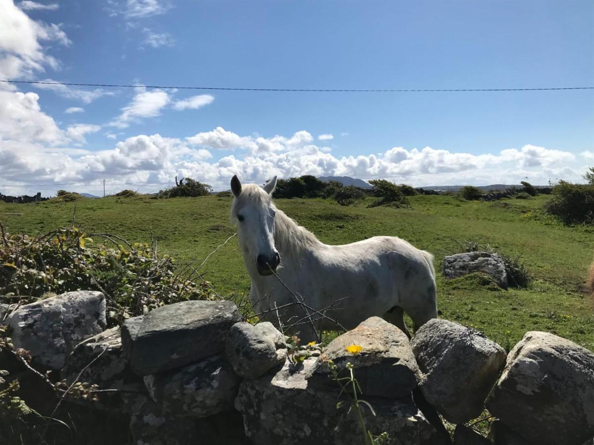 Kilronan Cottage Ballyconneely Exteriör bild